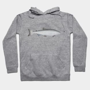 Chinook Salmon - Ocean Phase Hoodie